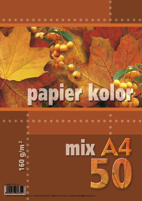 Papier ksero A4 160g 50ark. mix 5 kolorów intensywnych